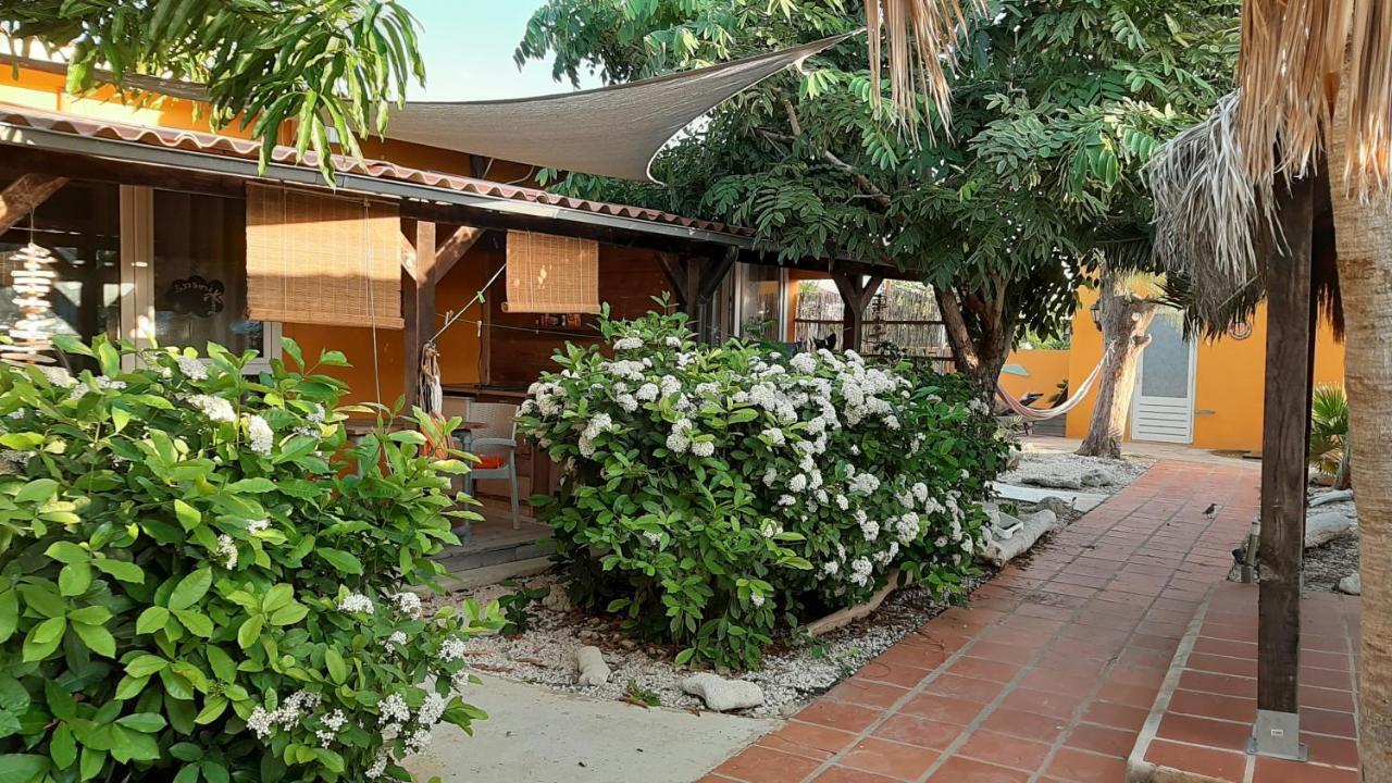 B&B Casa Trankilo Playa Extérieur photo